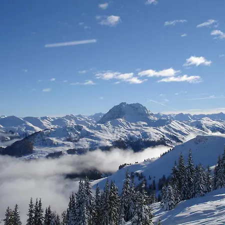 Stunningly Beautiful Chalet Peaceful Location Apartment Kirchberg in Tirol